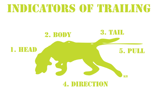 Indicators of Trailing PNG